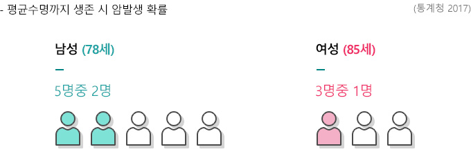 암발생확률 그래프